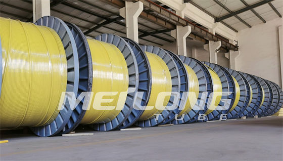 UNS S32750 a encapsulé la ligne de contrôle nylon superbe de Rilsan du duplex 2507