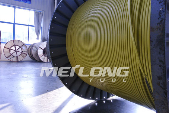 PVDF a encapsulé la ligne de contrôle de tube capillaire de solides solubles Flatpack pour le pétrole et le gaz Wells