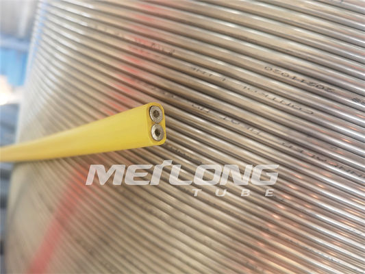 PVDF a encapsulé la ligne de contrôle de tube capillaire de solides solubles Flatpack pour le pétrole et le gaz Wells