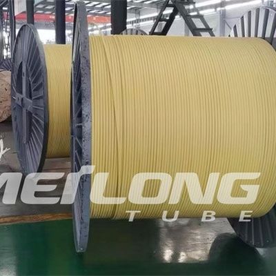 TP316L PVDF a encapsulé la ligne de contrôle Flatpack avec la haute pression de deux tubes