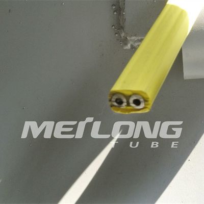 TP316L PVDF a encapsulé la ligne de contrôle Flatpack avec la haute pression de deux tubes