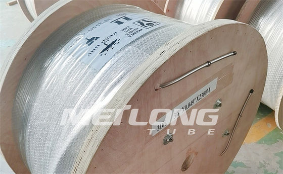Bobine lovée capillaire lumineuse propre de tuyauterie de l'acier inoxydable 4 de la tuyauterie 10000Psi 1