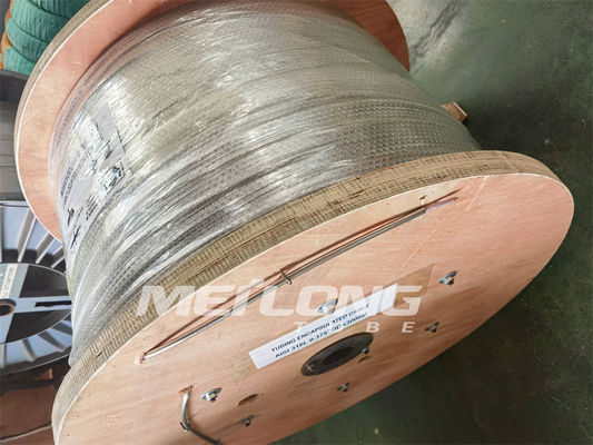 Alliez la tuyauterie 6000M qu'Encapsulated Cable Tubing a encapsulé le conducteur