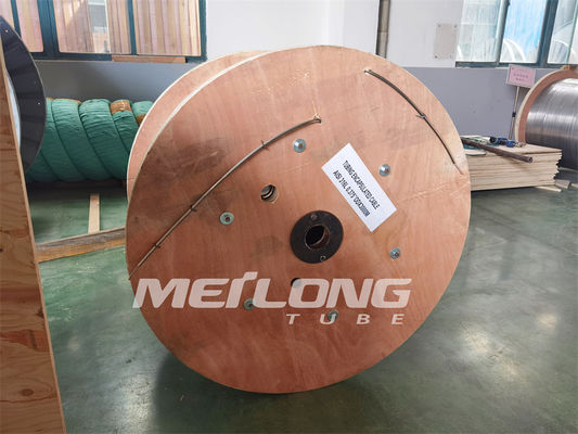 Alliez la tuyauterie 6000M qu'Encapsulated Cable Tubing a encapsulé le conducteur